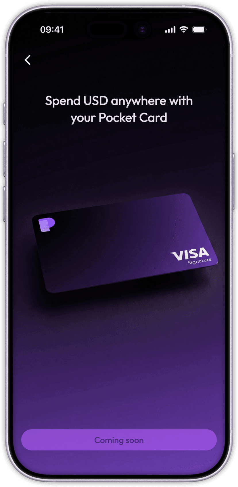 Pocket Card Interface